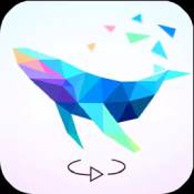 (jng) Ӣۂ_לy(c)[D]